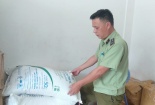 Huế: Phát hiện 300 kg đường nhập lậu 