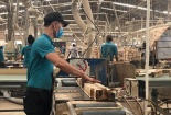 MDF VRG Quảng Trị: Đổi mới công nghệ, nâng cao năng suất sản xuất