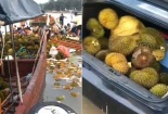 Ăn sầu riêng ngâm nước biển, hơn 500 người bị ngộ độc