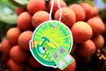 Xây dựng thương hiệu nông sản Việt từ truy xuất nguồn gốc