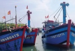 Tàu cá vi phạm vùng khai thác vẫn tái diễn, khó gỡ thẻ vàng IUU