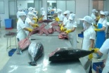 Hiệp định EVFTA mang đến triển vọng lớn cho thủy sản Việt xuất khẩu sang EU