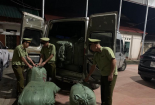 Tinh vi vận chuyển mỹ phẩm không rõ nguồn gốc lẫn trong hàng hóa có hóa đơn