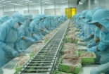 Thủy sản Việt Nam được xuất khẩu trở lại vào thị trường Ả-rập Xê-út