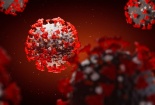 Tìm ra kháng thể cực mạnh có khả năng tiêu diệt nhanh virus Sars-Cov-2 