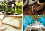 Xuất khẩu nông sản Việt sang EU tăng trưởng mạnh 