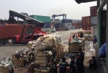 Không đạt chất lượng, hơn 1.000 container phế liệu nhập khẩu buộc phải tái xuất