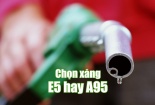 Xăng sinh học E5: Người tiêu dùng hiểu sao cho đúng?