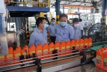 Áp chuẩn cho dầu nhờn: Tăng cường hậu kiểm, mạnh tay với hàng kém chất lượng (Bài 2)