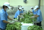 Hiệu quả áp dụng hệ thống QLCL, an toàn thực phẩm và công cụ 5S tại Công ty CP Du lịch và Thực phẩm Sao Việt 