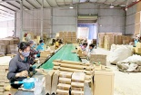 Lý do khiến Công ty TNHH SX và Bao bì Linh Anh áp dụng Hệ thống Quản lý chất lượng, ATTP và Công cụ NSCL MFCA?