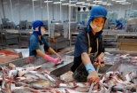 9 tháng, xuất khẩu của khối doanh nghiệp trong nước cao gấp 4 lần tốc độ tăng trưởng chung