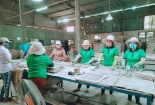 Kỹ năng chỉ dẫn việc – Giải pháp rút ngắn thời gian đào tạo cho 'nhân viên mới'