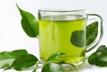 Uống trà xanh tốt cho sức khỏe nhưng cần uống đúng cách