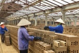 Khánh Hòa: Hỗ trợ doanh nghiệp cải tiến, tăng năng suất chất lượng 