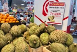 Xuất khẩu rau quả đạt gần 2,5 tỷ USD 9 tháng đầu năm 2020