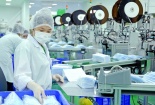 Khẩu trang y tế xuất khẩu tăng trở lại 