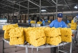 Công ty Cao su Tân Biên: Hiệu quả trong sản xuất nhờ áp dụng TPM