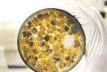 Nhận diện các thực phẩm quen thuộc hàng ngày dễ chứa chất độc aflatoxin gây ung thư