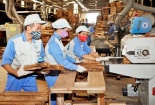 Cảnh báo gian lận xuất xứ đối với một số sản phẩm ngành gỗ