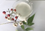 Dự thảo Quy định của Ủy ban Thực hiện gia hạn việc phê duyệt hoạt chất etoxazole 