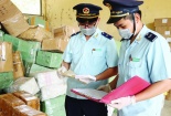 Gỡ vướng thủ tục nhập khẩu hàng hóa có nguồn gốc thực vật
