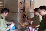 Nhập lậu lượng lớn giày thể thao nữ nhãn hiệu STAR do nước ngoài sản xuất