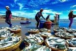 Những việc cần làm để gỡ “thẻ vàng” EC trong giai đoạn nước rút
