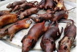 Thịt chuột và những nguy cơ với sức khỏe con người