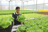 Ứng dụng công nghệ sinh học, phát triển nông nghiệp bền vững