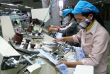 Công ty cổ phần Đông Bình: Phát triển sản xuất gắn với bảo vệ môi trường