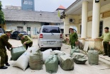 Nhập lậu nguyên liệu thuốc Bắc- nhiều thủ đoạn tinh vi gây khó trong quản lý chất lượng