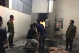 Xử lý đối tượng vận chuyển lợn và thịt lợn từ vùng dịch đi tiêu thụ