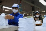 Xuất khẩu dệt may năm 2020 giảm sau nhiều năm tăng trưởng liên tiếp