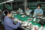 Đảm bảo tiêu chí chất lượng sản phẩm đối với hàng hóa xuất khẩu sang Hà Lan 