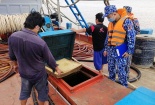 Bắt giữ phương tiện vận chuyển trái phép dầu DO trên biển