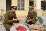Vận chuyển hơn 1 tấn nguyên liệu thuốc Bắc không rõ nguồn gốc