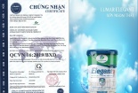 Lumar Paint đạt chứng nhận ISO 9001:2015 nhờ nỗ lực không ngừng trong sản xuất sơn