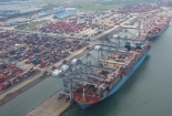 Hãng tàu container phải minh bạch giá cước vận chuyển