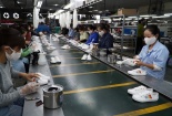 Hỗ trợ doanh nghiệp da giày vượt qua khó khăn do Covid-19