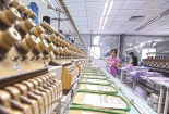 Hoàn thiện quy định xử phạt hành vi vi phạm về xuất xứ hàng hóa