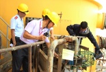 Xử phạt 13/48 cơ sở vi phạm quy định về an toàn bức xạ hạt nhân 