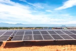 T&T Group đồng loạt hòa lưới 3 nhà máy điện mặt trời