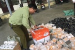 Nhập lậu hàng hóa: Phát hiện 3.500 mỹ phẩm vô chủ tại điểm tập kết