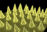 Miếng dán microneedle giúp phát hiện kháng thể COVID-19