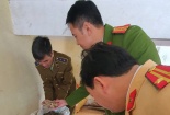 Nhập lậu hàng hóa: Chặn đứng xe ô tô vận chuyển củ tam thất không hóa đơn
