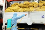 Thần tốc chống dịch, thúc đẩy tăng trưởng - Bài 2:  Nông nghiệp trước COVID-19: Yêu cầu của Thủ tướng về 3 không gian kinh tế