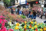 Thị trường hoa, cây cảnh dịp Tết: Giá rẻ vẫn vắng khách