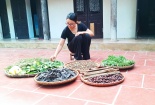 Gặp gỡ bà mẹ trẻ ‘bỏ phố về quê’ xây dựng thương hiệu riêng làm sống lại những giá trị truyền thống