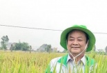 Tản mạn ngày xuân trên ruộng đồng